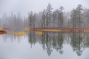 Jezero Salonlampi (národní park Urho Kekkonena, Laponsko), 2019