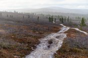 Ohlédnutí (Národní park Urho Kekkonena, Laponsko), 2019