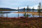 Jezero Luirojärvi