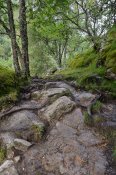 NP Folgefonna, nástup na trek údolím Buardalen