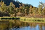 Pohled z přístavního plata autiotupy Kultasatama