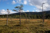 Národní park Fulufjället
