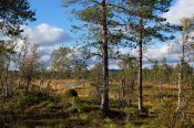 Národní park Fulufjället