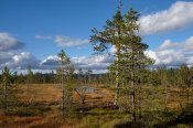 Národní park Fulufjället