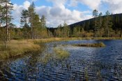 Národní park Fulufjället