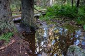 Národní park Fulufjället, turistická trasa Njupeskärsslingan