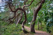 Národní park Raet, turistická trasa Kyststien i Arendal u Hove