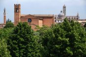 Siena - Palazzo Pubblico, Basilica of San Domenico a Katedrála Nanebevzetí Panny Marie