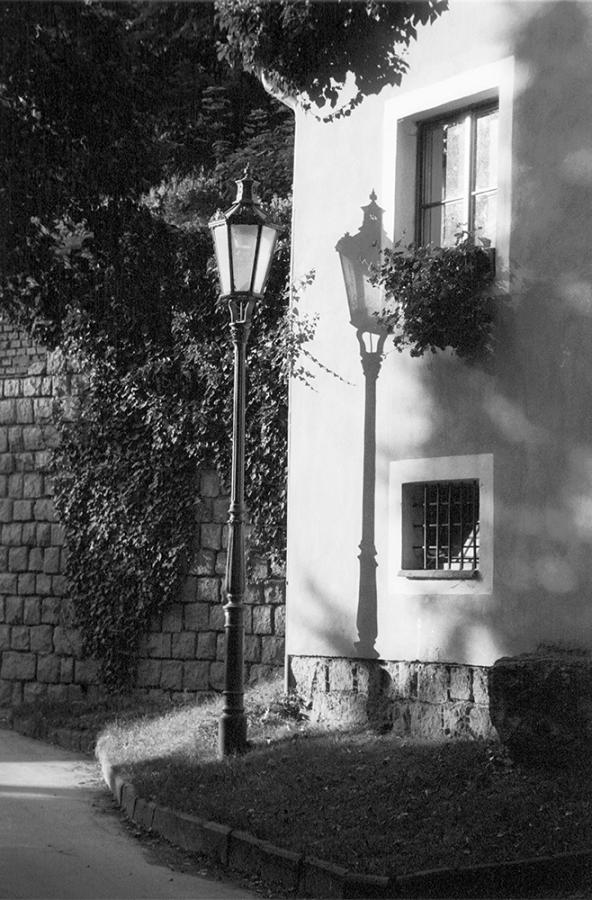 Schody do nebe - FOTOGRAFIE plus