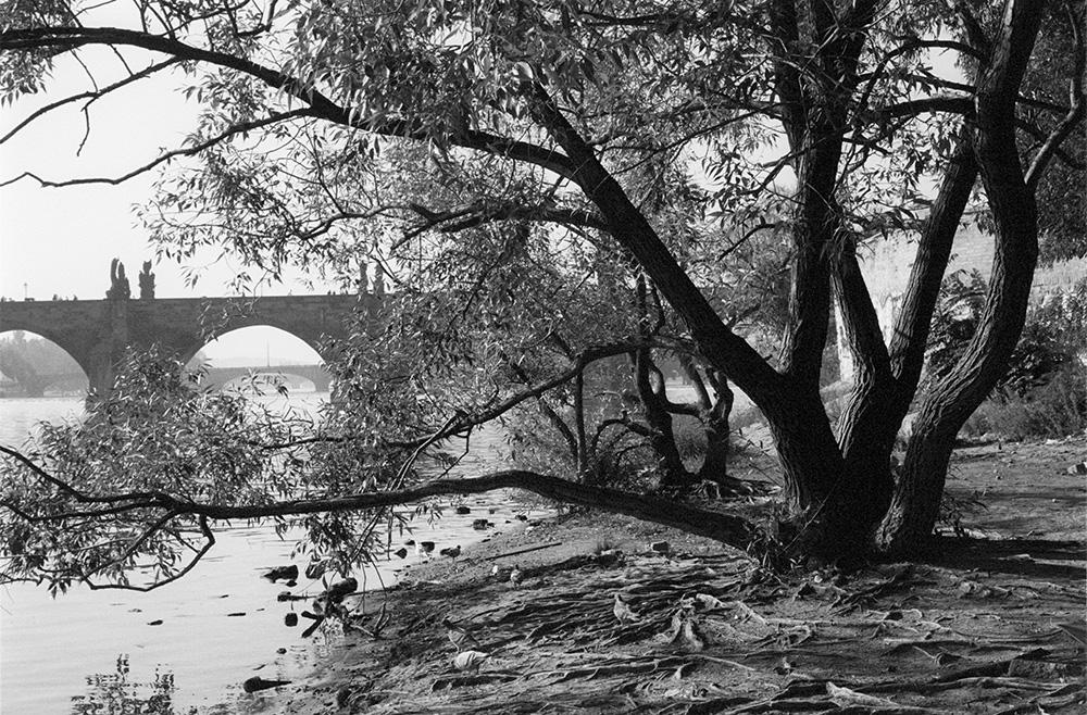 Schody do nebe - FOTOGRAFIE plus