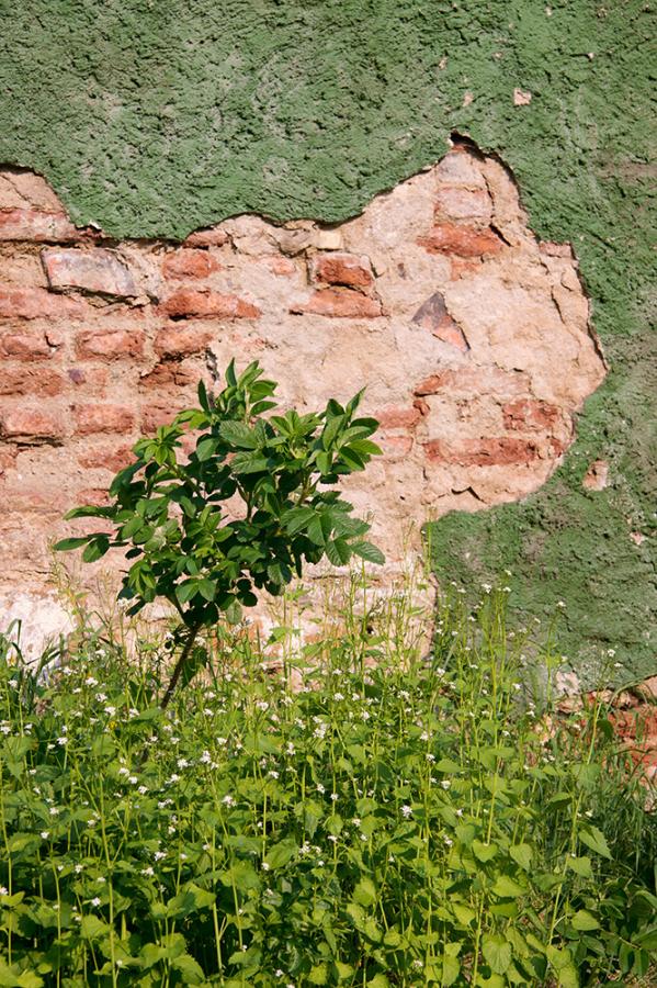 Schody do nebe - FOTOGRAFIE plus