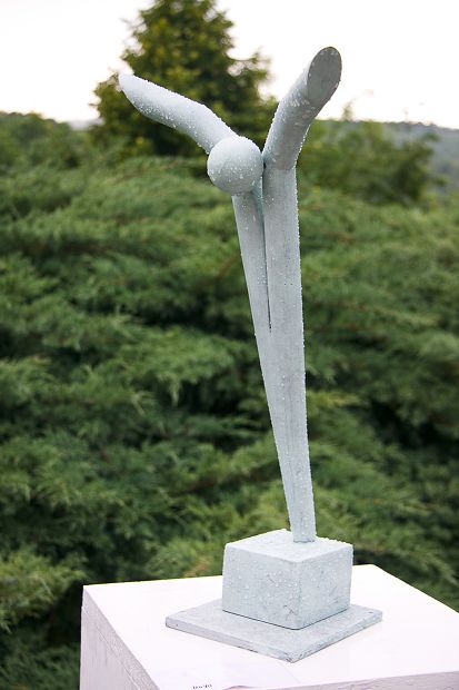 Poštovka Zahrada 2011 - Zrcadlení