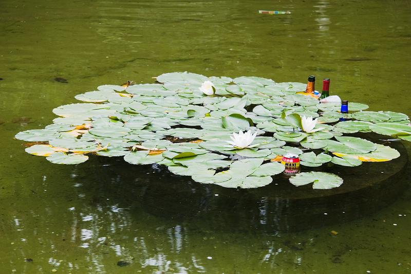 Brusel, Loeven - 2007