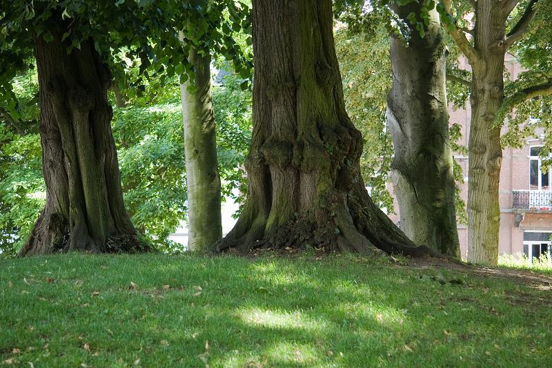 Brusel, Loeven - 2007