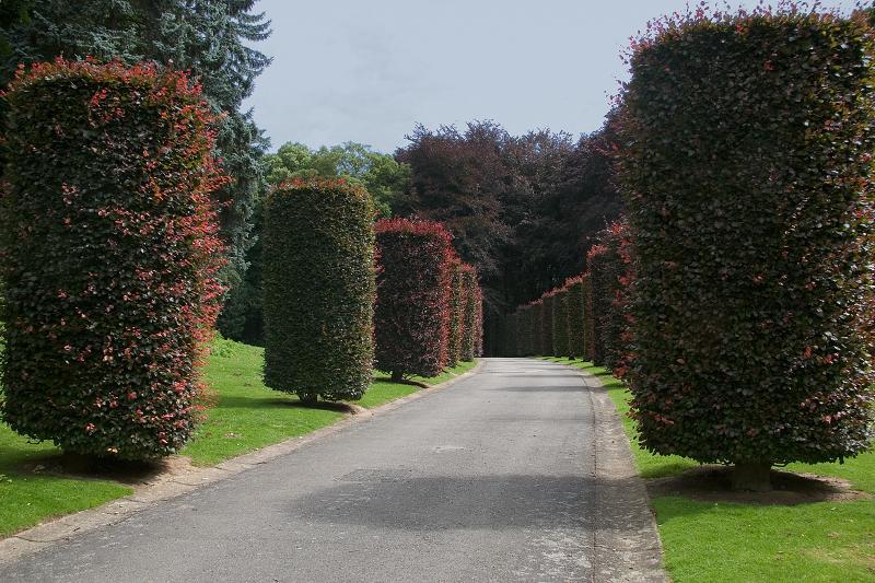 Brusel, Loeven - 2007