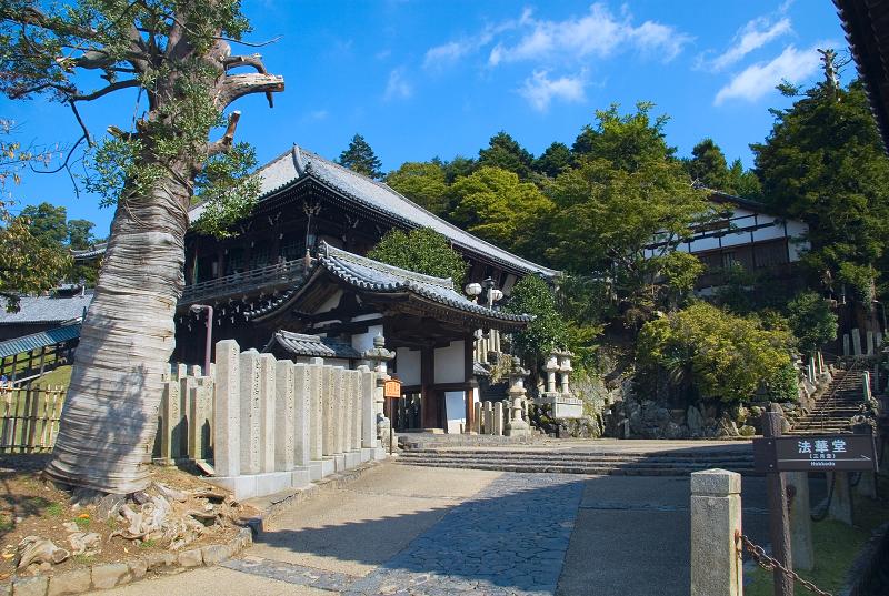 Když v ráji pršelo. Fotografie z cesty do Japonska.