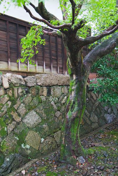 Když v ráji pršelo. Fotografie z cesty do Japonska.