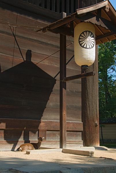 Když v ráji pršelo. Fotografie z cesty do Japonska.