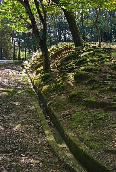 Když v ráji pršelo. Fotografie z cesty do Japonska.