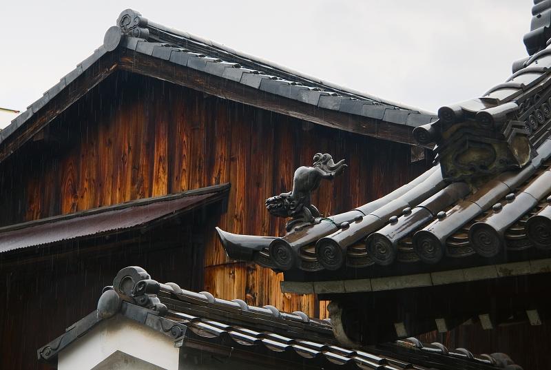 Když v ráji pršelo. Fotografie z cesty do Japonska.