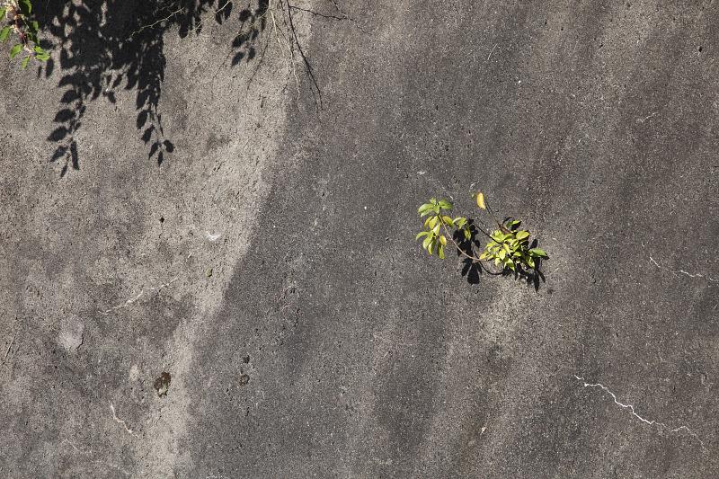 Když v ráji pršelo. Fotografie z cesty do Japonska.