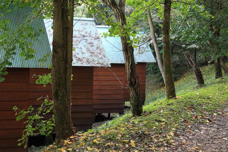 Když v ráji pršelo. Fotografie z cesty do Japonska.