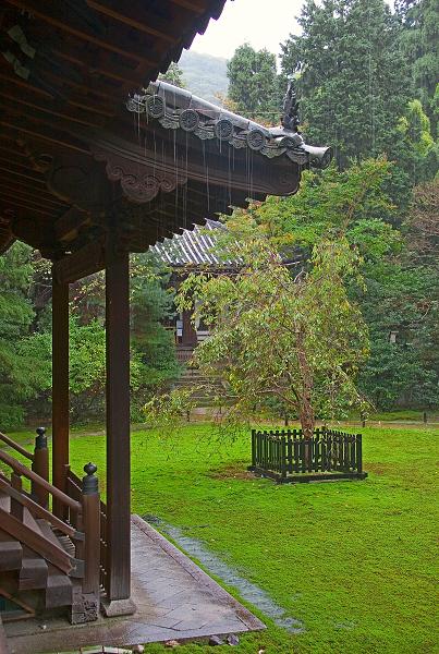 Když v ráji pršelo. Fotografie z cesty do Japonska.