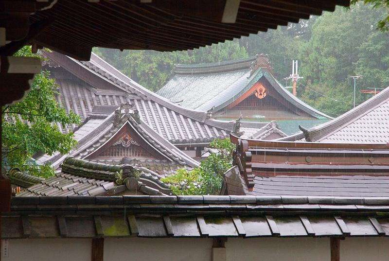 Když v ráji pršelo. Fotografie z cesty do Japonska.