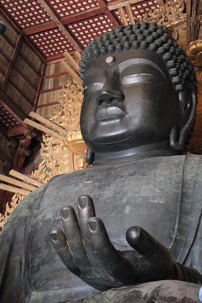 Když v ráji pršelo. Fotografie z cesty do Japonska.