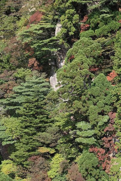 Když v ráji pršelo. Fotografie z cesty do Japonska.