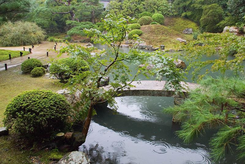 Když v ráji pršelo. Fotografie z cesty do Japonska.
