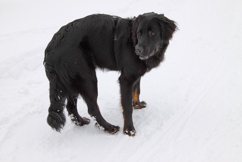 Horní Polubný 2009