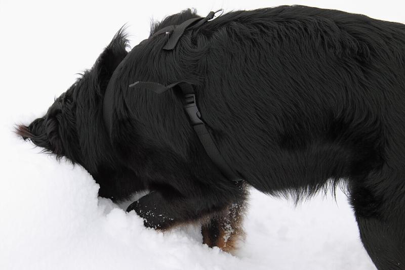 Horní Polubný 2009