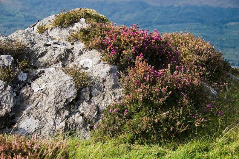 Skotsko, Kaledonský kanál a Inverness - 2006