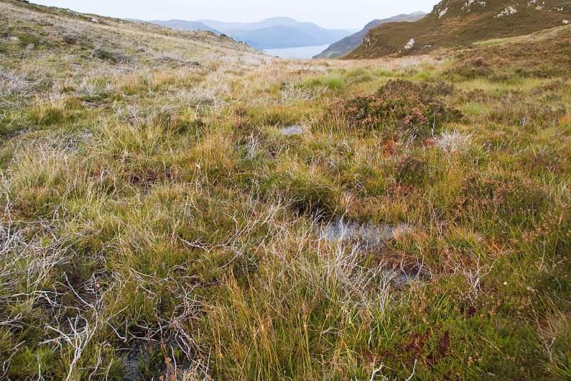 Skotsko, Kaledonský kanál a Inverness - 2006